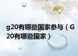 g20有哪些國家參與（G20有哪些國家）