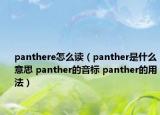 panthere怎么讀（panther是什么意思 panther的音標(biāo) panther的用法）