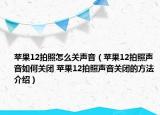 蘋果12拍照怎么關(guān)聲音（蘋果12拍照聲音如何關(guān)閉 蘋果12拍照聲音關(guān)閉的方法介紹）