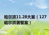 哈爾濱11.28大案（127哈爾濱襲警案）