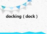 docking（dock）