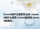 branch是什么意思怎么讀（branch是什么意思 branch的音標(biāo) branch的用法）