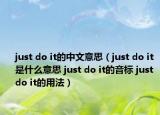 just do it的中文意思（just do it是什么意思 just do it的音標(biāo) just do it的用法）