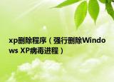 xp刪除程序（強(qiáng)行刪除Windows XP病毒進(jìn)程）