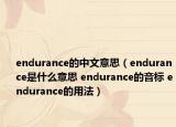 endurance的中文意思（endurance是什么意思 endurance的音標(biāo) endurance的用法）