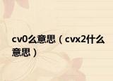 cv0么意思（cvx2什么意思）