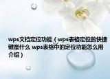 wps文檔定位功能（wps表格定位的快捷鍵是什么 wps表格中的定位功能怎么用介紹）