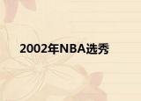 2002年NBA選秀