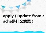 apply（update from cache是什么意思）