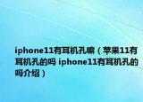 iphone11有耳機孔嘛（蘋果11有耳機孔的嗎 iphone11有耳機孔的嗎介紹）