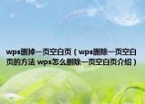 wps刪掉一頁空白頁（wps刪除一頁空白頁的方法 wps怎么刪除一頁空白頁介紹）