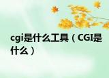 cgi是什么工具（CGI是什么）