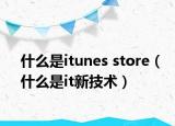 什么是itunes store（什么是it新技術(shù)）