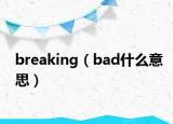 breaking（bad什么意思）