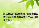 怎么給word設(shè)置目錄（應(yīng)該怎么設(shè)置word目錄 怎么設(shè)置一個(gè)word目錄介紹）