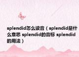 splendid怎么讀音（splendid是什么意思 splendid的音標(biāo) splendid的用法）