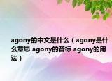 agony的中文是什么（agony是什么意思 agony的音標(biāo) agony的用法）