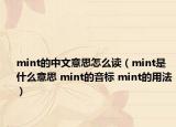 mint的中文意思怎么讀（mint是什么意思 mint的音標 mint的用法）