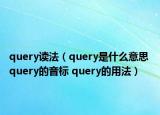 query讀法（query是什么意思 query的音標 query的用法）