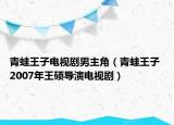 青蛙王子電視劇男主角（青蛙王子 2007年王碩導(dǎo)演電視劇）