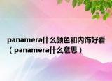 panamera什么顏色和內(nèi)飾好看（panamera什么意思）