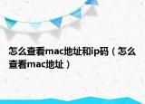 怎么查看mac地址和ip碼（怎么查看mac地址）