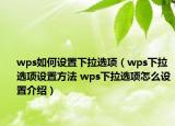 wps如何設(shè)置下拉選項(xiàng)（wps下拉選項(xiàng)設(shè)置方法 wps下拉選項(xiàng)怎么設(shè)置介紹）