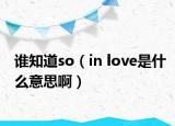 誰知道so（in love是什么意思啊）