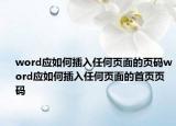 word應(yīng)如何插入任何頁面的頁碼word應(yīng)如何插入任何頁面的首頁頁碼