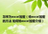 怎樣為excel加密（給excel加密的方法 如何給excel加密介紹）