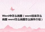 Word中怎么畫(huà)圖（word應(yīng)該怎么畫(huà)圖 word怎么畫(huà)圖怎么操作介紹）