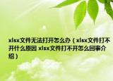 xlsx文件無法打開怎么辦（xlsx文件打不開什么原因 xlsx文件打不開怎么回事介紹）