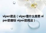 viper讀法（viper是什么意思 viper的音標(biāo) viper的用法）