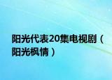 陽(yáng)光代表20集電視?。?yáng)光楓情）