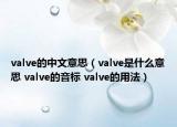 valve的中文意思（valve是什么意思 valve的音標(biāo) valve的用法）