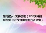 如何把pdf文件加密（PDF文件如何加密 PDF文件加密的方法介紹）