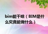 bim能干啥（BIM是什么究竟能做什么）