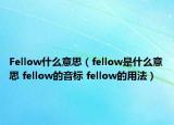 Fellow什么意思（fellow是什么意思 fellow的音標(biāo) fellow的用法）