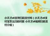 小天才z6支持掃碼支付嗎（小天才z6支付寶怎么掃碼付款 小天才z6如何掃碼支付介紹）