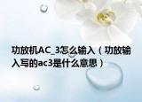 功放機AC_3怎么輸入（功放輸入寫的ac3是什么意思）