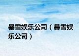 暴雪娛樂公司（暴雪娛樂公司）