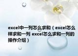 excel中一列怎么求和（excel怎么樣求和一列 excel怎么求和一列的操作介紹）