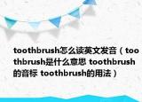 toothbrush怎么讀英文發(fā)音（toothbrush是什么意思 toothbrush的音標 toothbrush的用法）