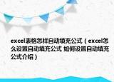 excel表格怎樣自動填充公式（excel怎么設(shè)置自動填充公式 如何設(shè)置自動填充公式介紹）