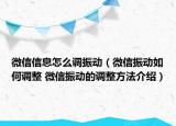 微信信息怎么調(diào)振動（微信振動如何調(diào)整 微信振動的調(diào)整方法介紹）