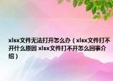 xlsx文件無法打開怎么辦（xlsx文件打不開什么原因 xlsx文件打不開怎么回事介紹）