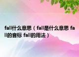 fall什么意思（fall是什么意思 fall的音標 fall的用法）