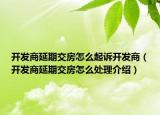 開發(fā)商延期交房怎么起訴開發(fā)商（開發(fā)商延期交房怎么處理介紹）