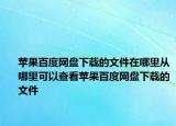 蘋果百度網(wǎng)盤下載的文件在哪里從哪里可以查看蘋果百度網(wǎng)盤下載的文件