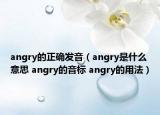 angry的正確發(fā)音（angry是什么意思 angry的音標 angry的用法）